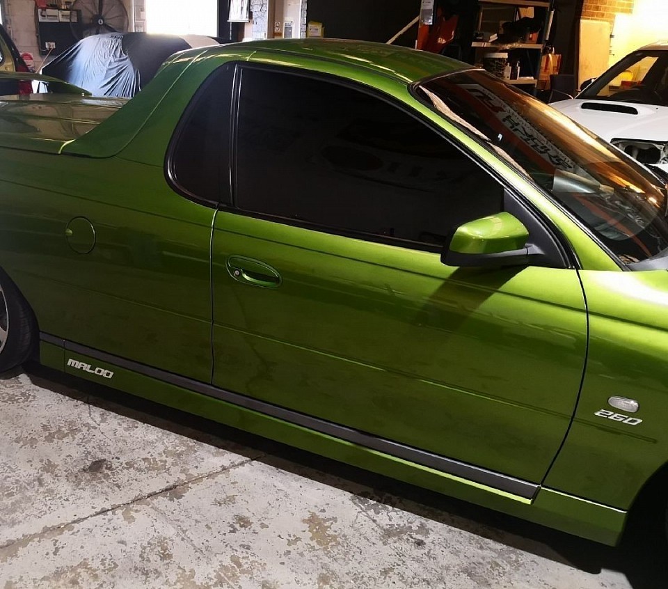 TMC Tinting project